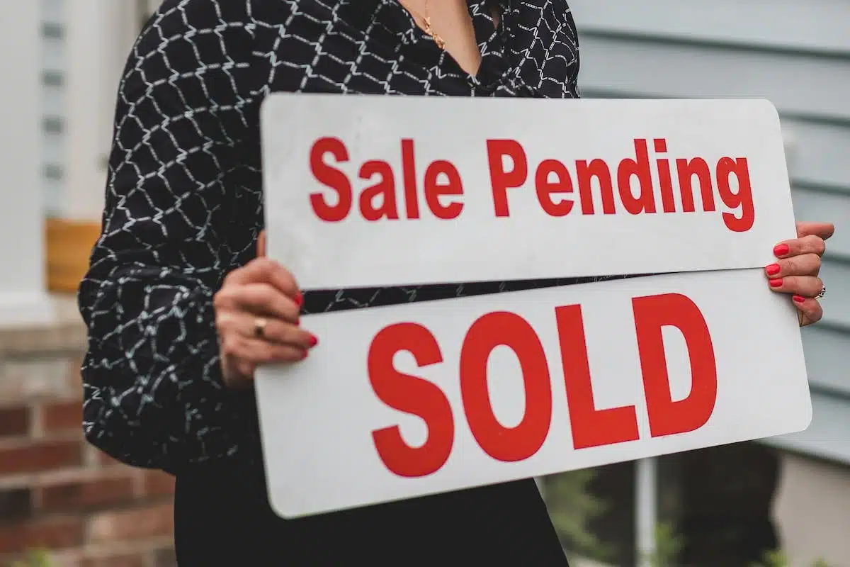 scpi  immobilier